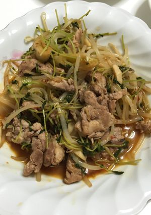 豆苗と豚肉の炒め物-レシピのメイン写真
