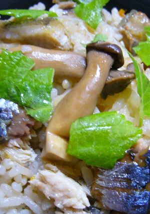 秋香るさんま茶飯-レシピのメイン写真