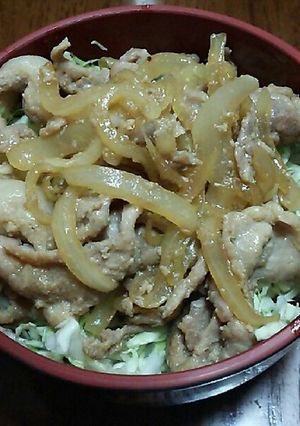 ☆ヨシダソースで簡単豚丼☆-レシピのメイン写真