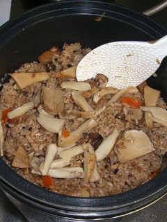 本松茸と白松茸(モミタケ)の炊き込みご飯-レシピのメイン写真