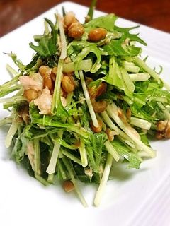 水菜の納豆ツナサラダ-レシピのメイン写真