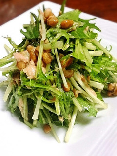 水菜の納豆ツナサラダ-レシピのメイン写真