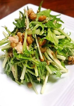 水菜の納豆ツナサラダ-レシピのメイン写真