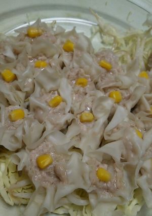 子どもに大うけ！おいしいシュウマイ-レシピのメイン写真