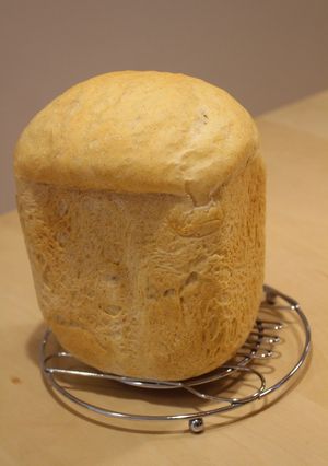 自家製酵母　食パン-レシピのメイン写真