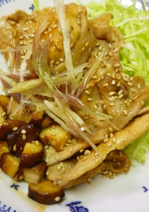 豚肉の生姜ニンニク焼き-レシピのメイン写真