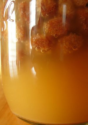 レーズン酵母液-レシピのメイン写真