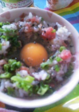 UTKG☆カリカリ梅のシンプル卵かけご飯-レシピのメイン写真