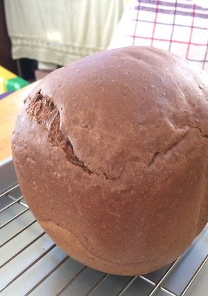 HBでココナッツオイルのココアパン♪-レシピのメイン写真