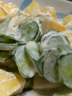 柿のサラダ-レシピのメイン写真