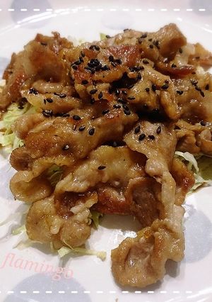 簡単！食欲出るお酢のさっぱり豚肉焼き-レシピのメイン写真