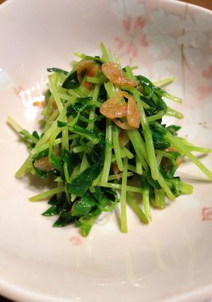 《簡単♪小鉢》豆苗の桜海老炒め-レシピのメイン写真