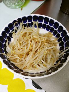 簡単☆居酒屋メニュー☆おつまみもやし☆-レシピのメイン写真