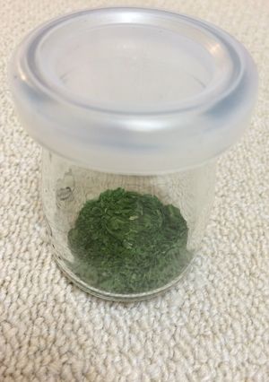 レモンバームの保存方法-レシピのメイン写真