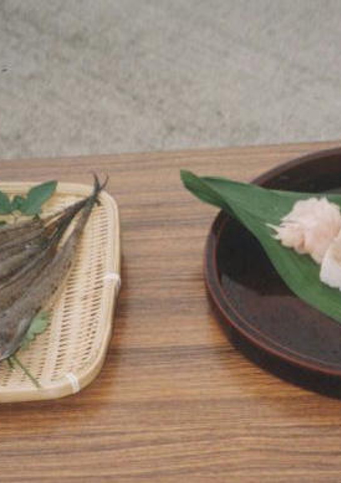がっちょの押し寿司-レシピのメイン写真