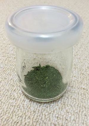 バジルの保存方法 パート２-レシピのメイン写真