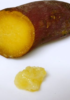 塩レモンで甘味倍増蒸かしイモ-レシピのメイン写真