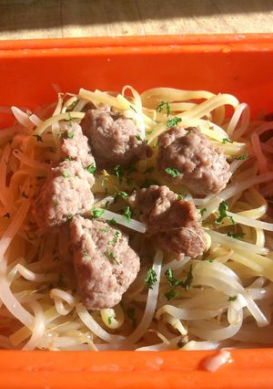 *簡単すぎる。もやしとひき肉でDiet*-レシピのメイン写真
