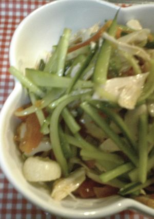 鳥ささみのﾊﾞﾝﾊﾞﾝｼﾞｰ風-レシピのメイン写真