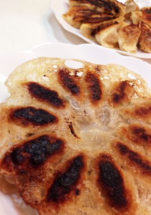 焼肉のタレで羽根つき餃子-レシピのメイン写真