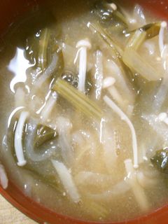 小松菜 えのき 切り干し大根の 味噌汁-レシピのメイン写真
