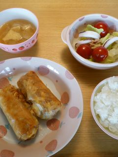 うちの春巻き-レシピのメイン写真