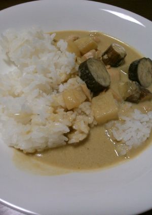 和風?グリーンカレー-レシピのメイン写真