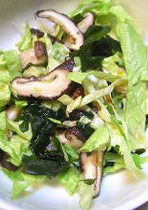 レタスと椎茸の和風サラダ-レシピのメイン写真
