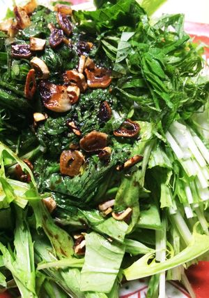 水菜のシャキシャキにんにく醤油サラダ-レシピのメイン写真