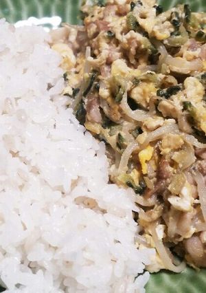 苦味がない？少ない？笑 ゴーヤチャンプル-レシピのメイン写真