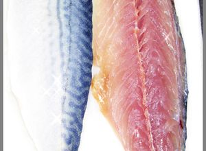肴鯖鯵鯛鰯鮭鮪鮨！魚の三枚おろしの基本！-レシピのメイン写真