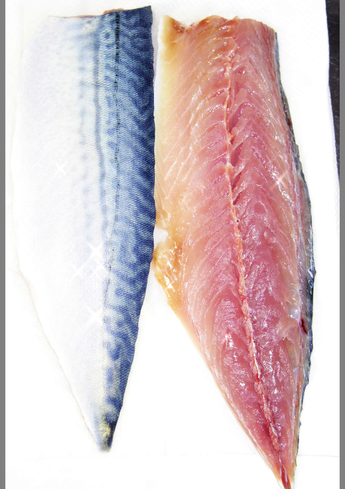 肴鯖鯵鯛鰯鮭鮪鮨！魚の三枚おろしの基本！-レシピのメイン写真