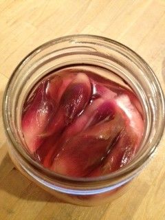 みょうがの甘酢漬け♬-レシピのメイン写真