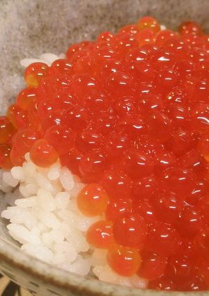 我が家のイクラ丼-レシピのメイン写真