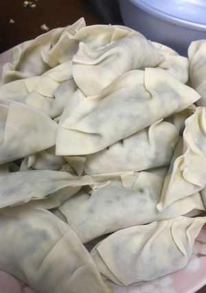 一人餃子祭り-レシピのメイン写真