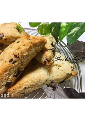 チョコチップスコーン-レシピのメイン写真