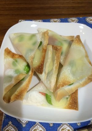 シュウマイの皮で簡単おつまみ☆-レシピのメイン写真