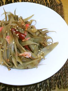 簡単きんぴらごぼう-レシピのメイン写真