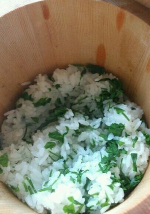 うこぎ飯★春の香り-レシピのメイン写真