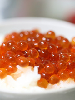 いくらの醤油漬け-レシピのメイン写真
