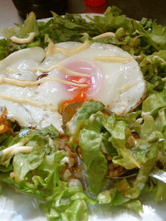 最速の目玉焼き皿丼-レシピのメイン写真