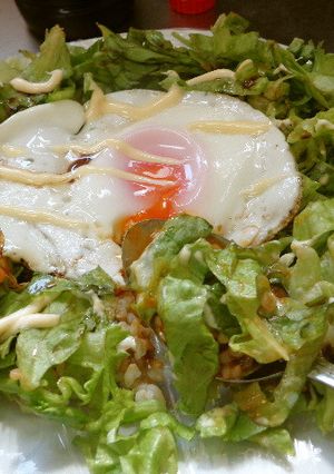 最速の目玉焼き皿丼-レシピのメイン写真