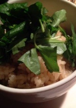 圧力鍋とストウブで作る「鶏めし」-レシピのメイン写真