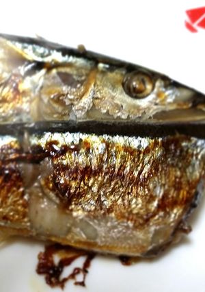 フライパンで焼く超簡単さんまレシピ-レシピのメイン写真