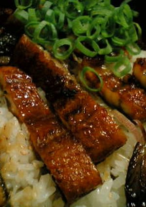 薬味たっぷり鰻丼-レシピのメイン写真