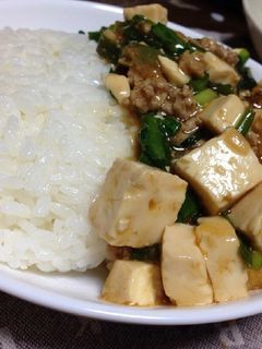 元気の出る麻婆豆腐!-レシピのメイン写真