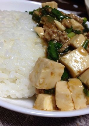 元気の出る麻婆豆腐!-レシピのメイン写真