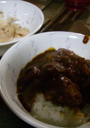自民紳士転向のノーベル賞級】チキンカレー-レシピのメイン写真
