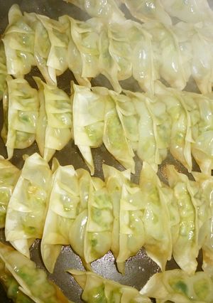 Wにんにくで味付けした餃子-レシピのメイン写真