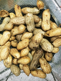 落花生 塩茹で-レシピのメイン写真